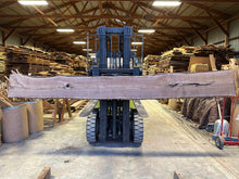 Load image into Gallery viewer, SLB-BW-005 Walnut Slab