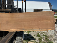 Load image into Gallery viewer, SLB-BW-010 Walnut Slab
