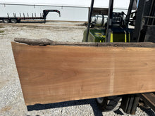 Load image into Gallery viewer, SLB-BW-011 Walnut Slab
