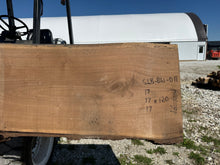Load image into Gallery viewer, SLB-BW-011 Walnut Slab
