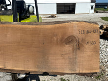 Load image into Gallery viewer, SLB-BW-012 Walnut Slab

