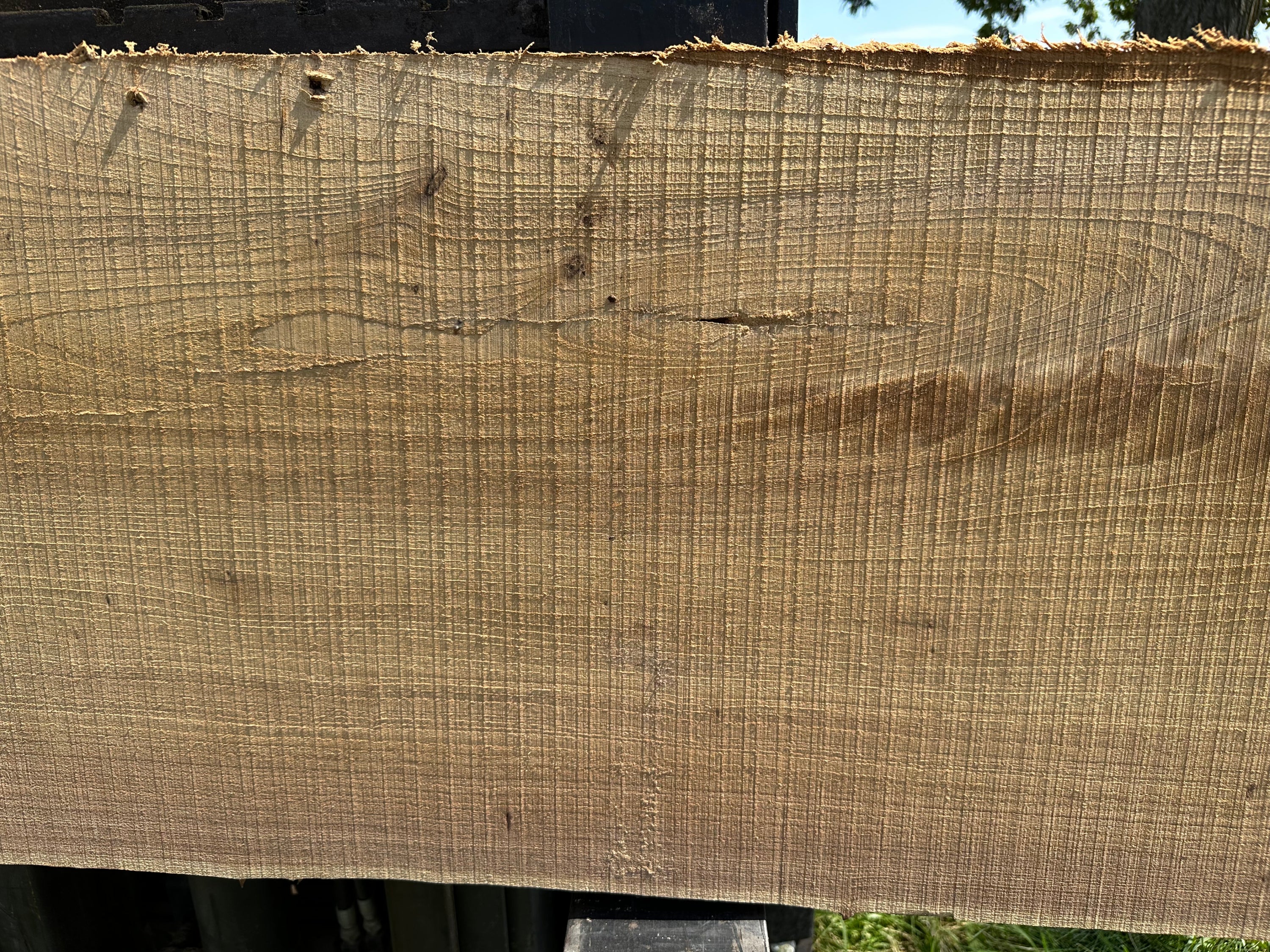 SLB-RE-011 Red Elm Slab