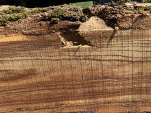 Load image into Gallery viewer, SLB-RE-012 Red Elm Slab
