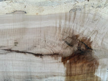 Load image into Gallery viewer, SLB-SPM-007 Spalted Maple Slab
