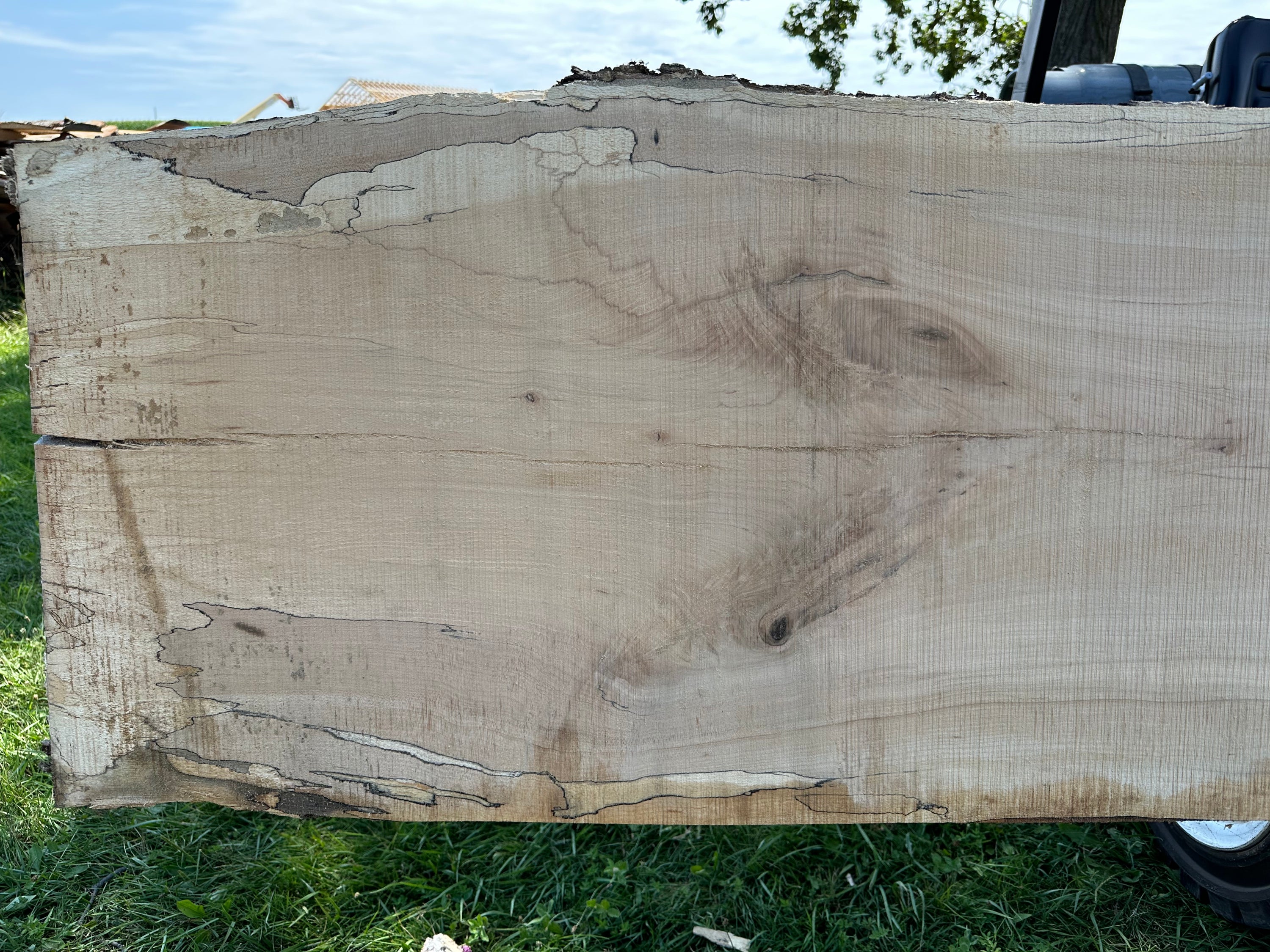 SLB-SPM-013 Spalted Maple Slab