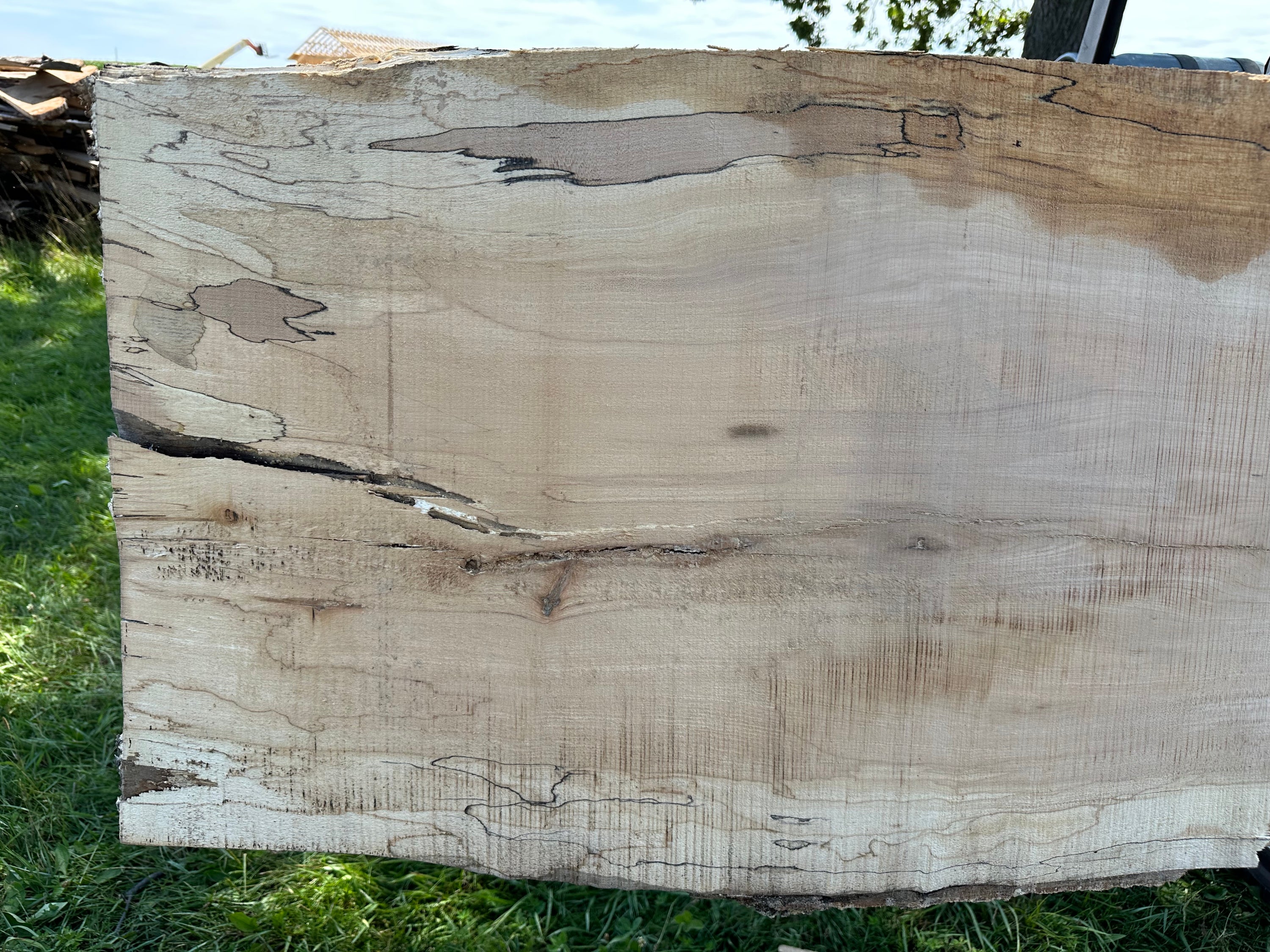 SLB-SPM-013 Spalted Maple Slab