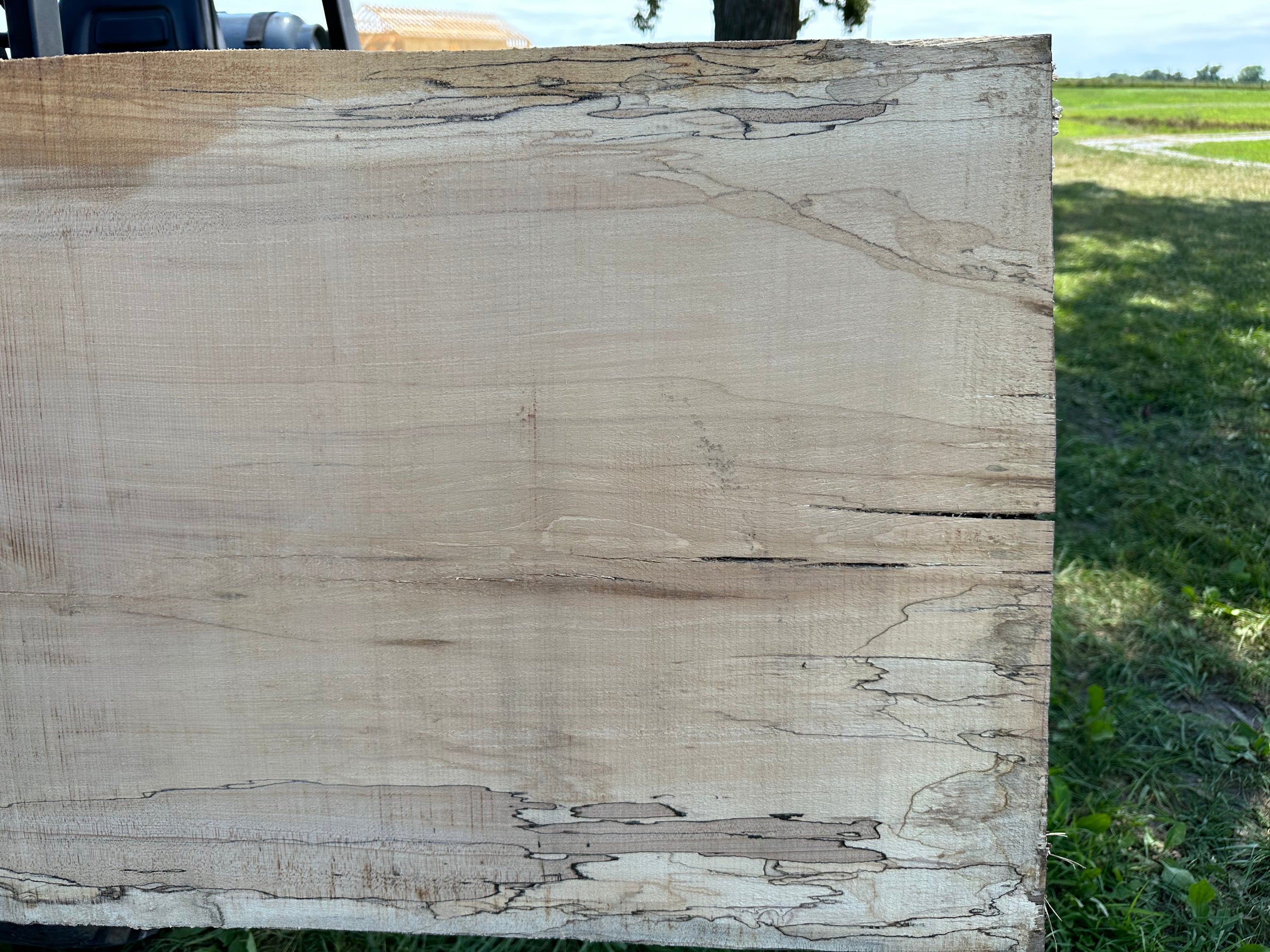 SLB-SPM-013 Spalted Maple Slab