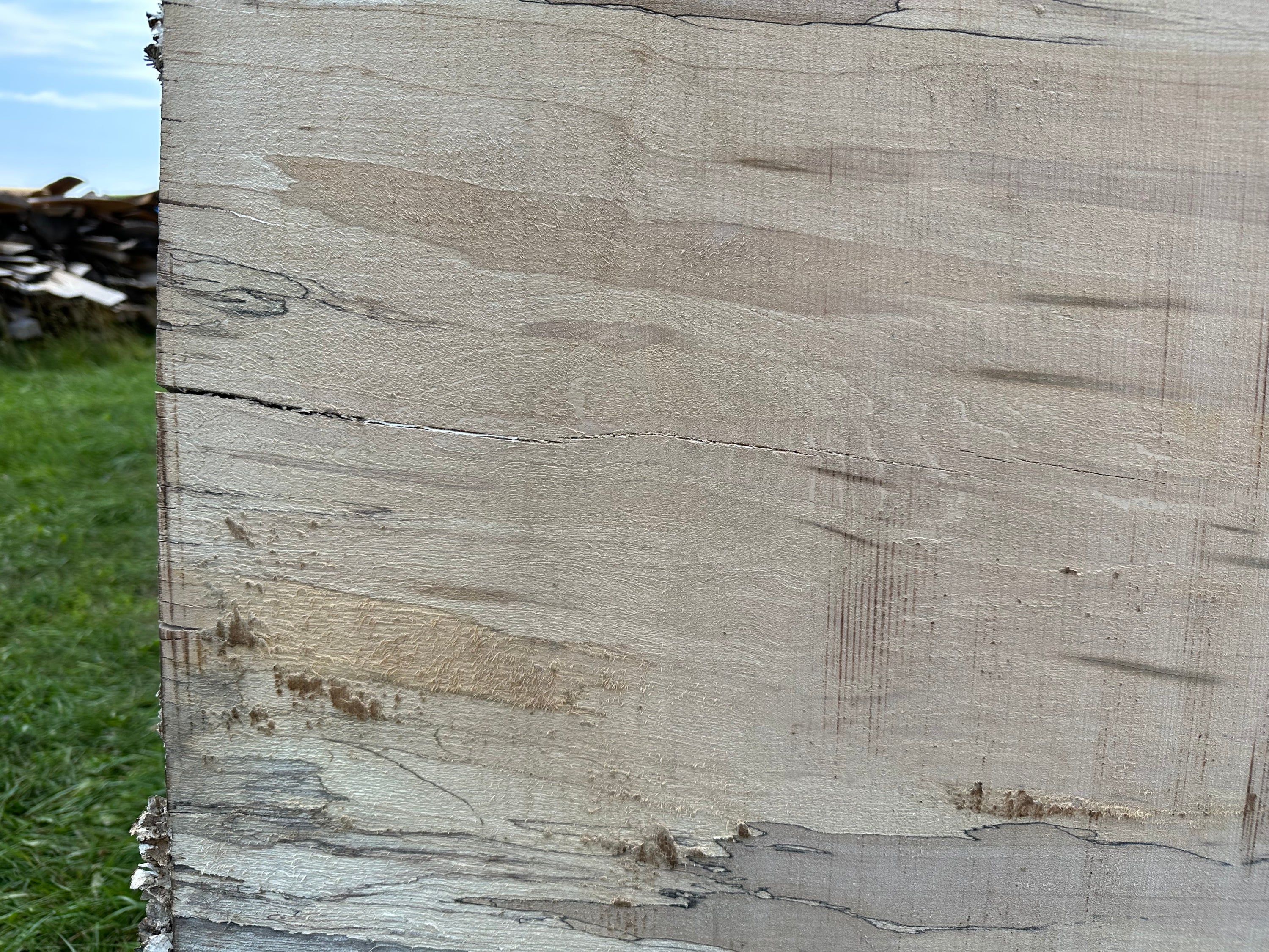 SLB-SPM-015 Spalted Maple Slab